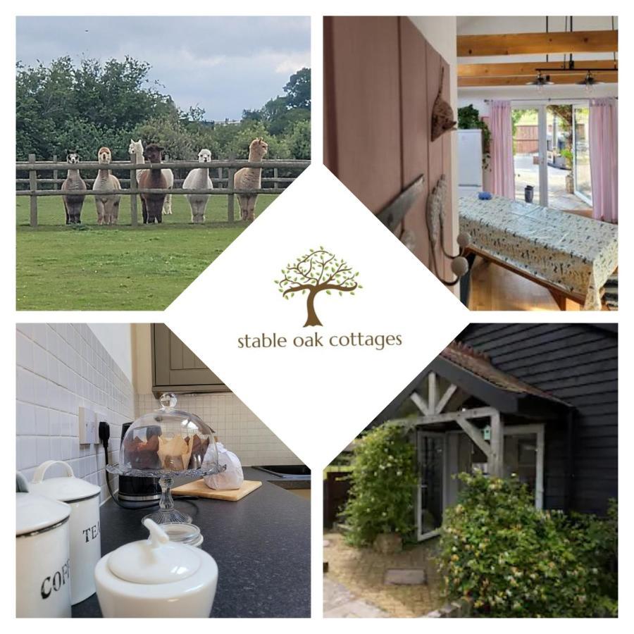 Oak Cottage With Private Log Fired Hot Tub 메이드스톤 외부 사진